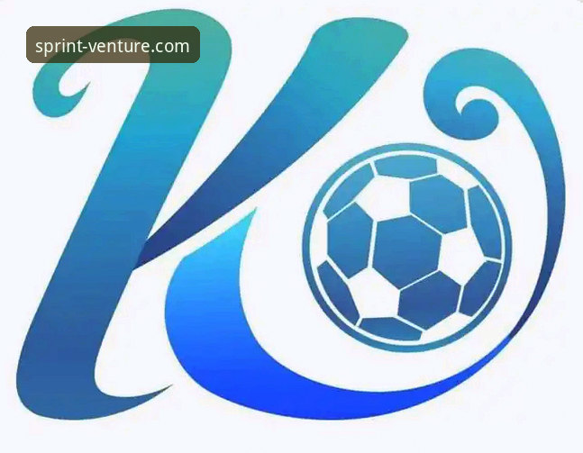 提升开云体育平台体验的3个关键维度：从访问到客服支持